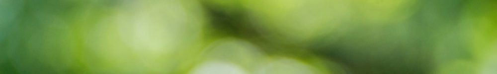 artur-luczka-loAfOVk1eNc-unsplash (2)